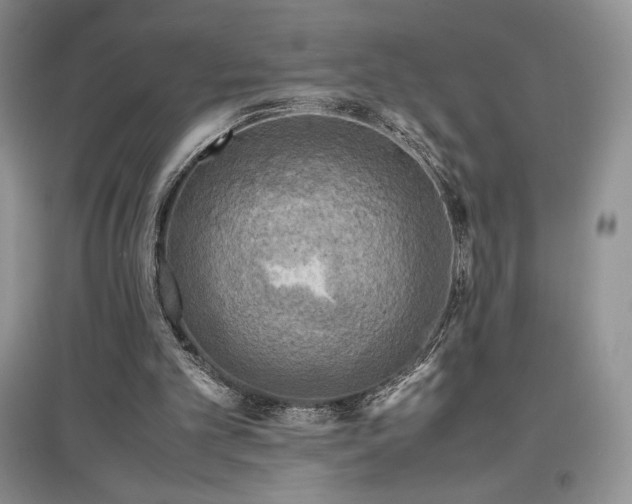 X0000097600101200803071437