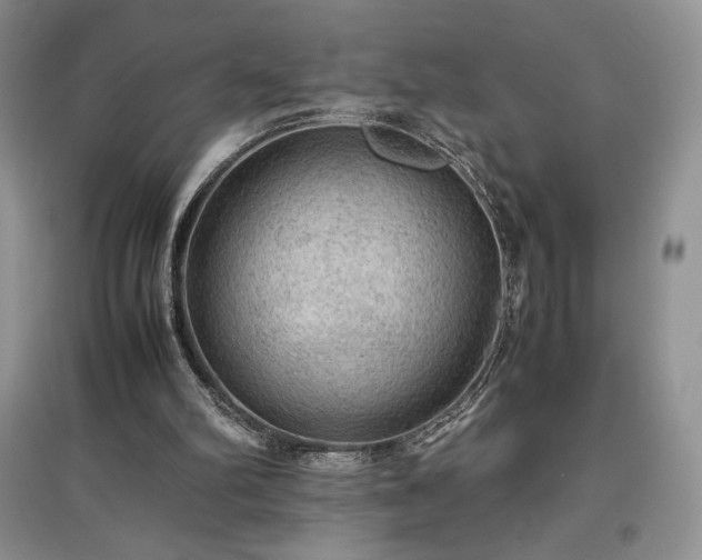 X0000097600102200803071437