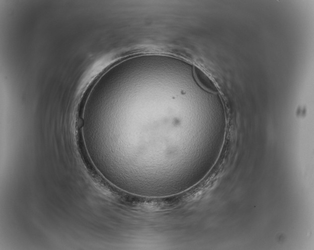 X0000097600103200803071437