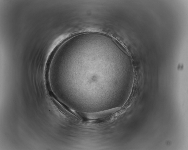 X0000097600104200803071437