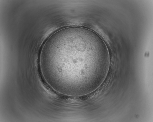 X0000097600107200803071437