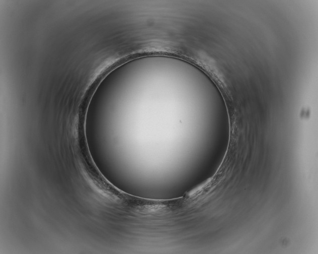 X0000097600108200803071437