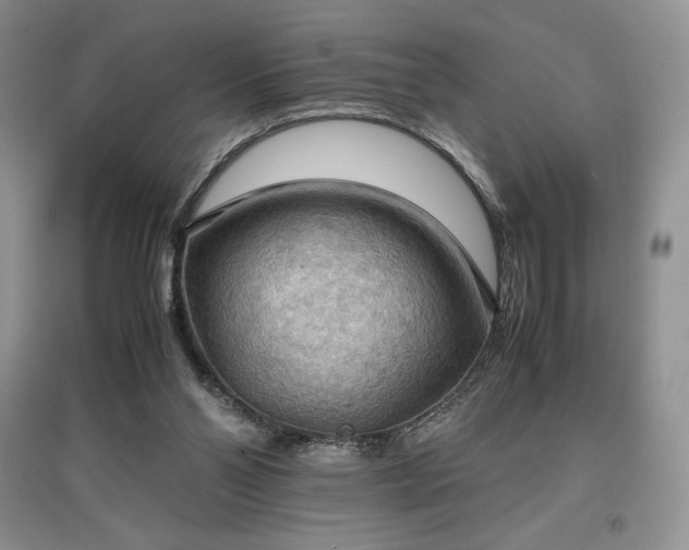 X0000097600110200803071437