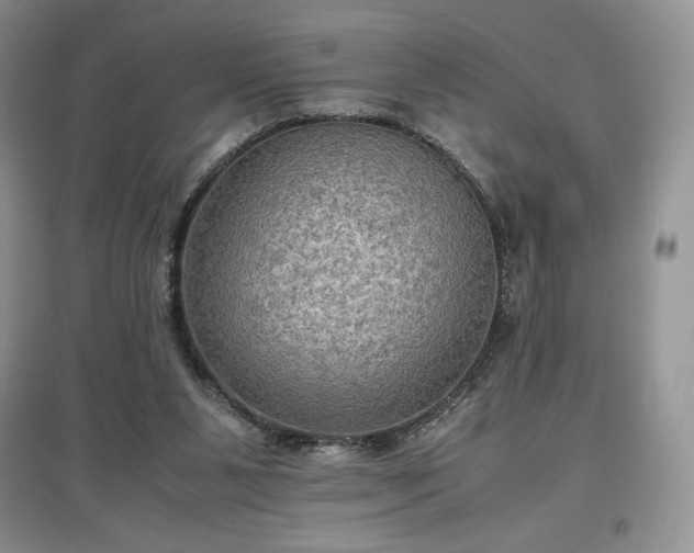 X0000097600111200803071437