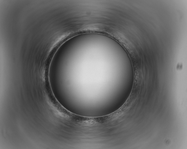 X0000097600112200803071437