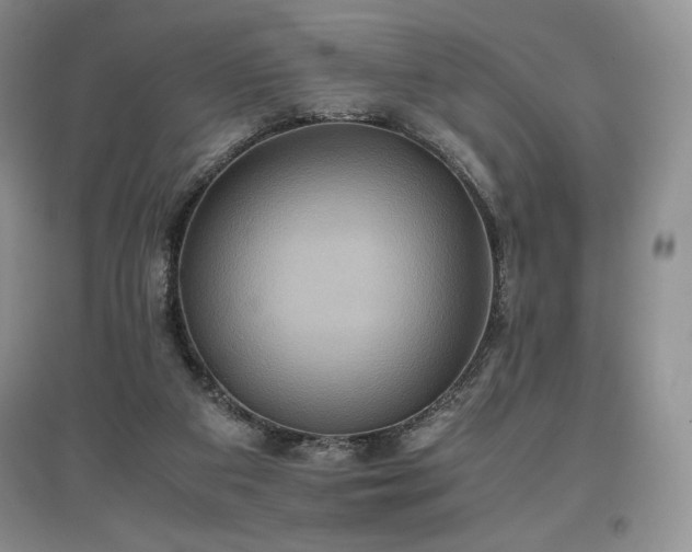 X0000097600113200803071437