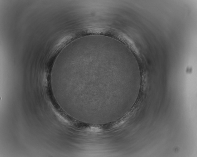 X0000097600114200803071437