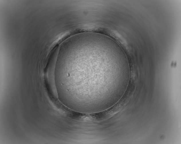 X0000097600115200803071437