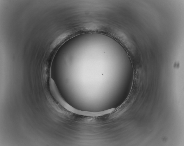 X0000097600116200803071437
