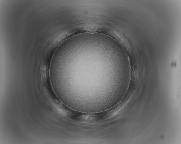 X0000097600117200803071437
