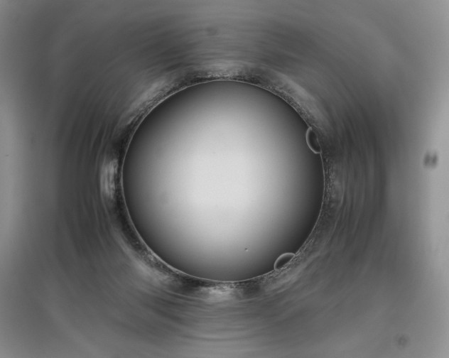 X0000097600118200803071437