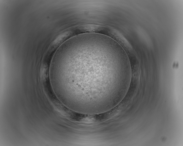 X0000097600119200803071437