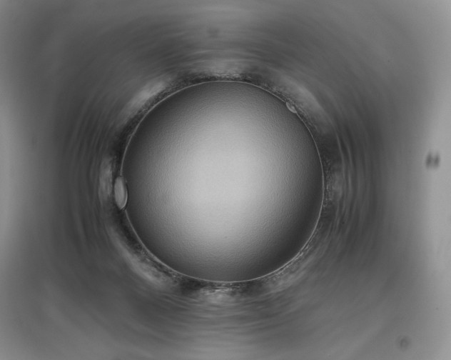 X0000097600120200803071437
