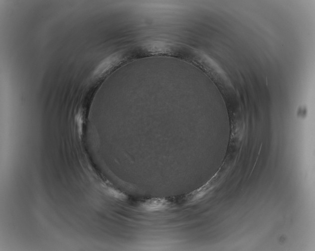 X0000097600124200803071437