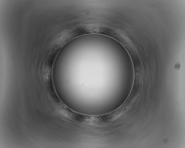 X0000097600125200803071437