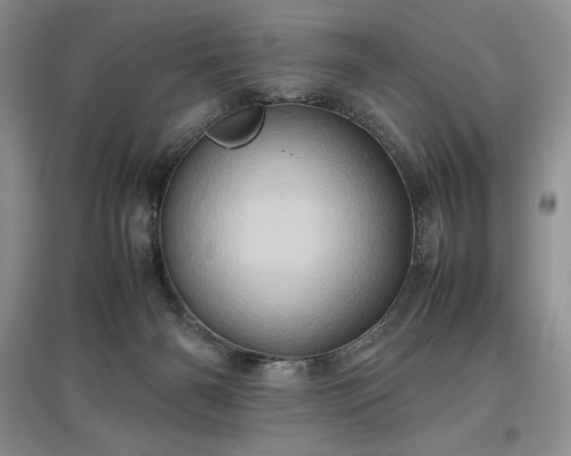 X0000097600126200803071437