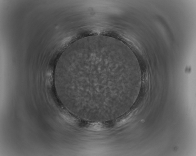 X0000097600127200803071437