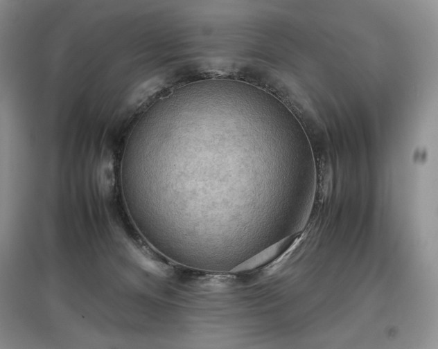 X0000097600128200803071437