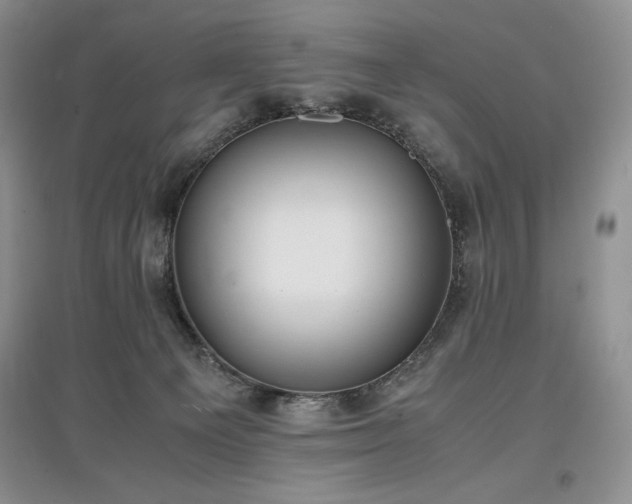 X0000097600129200803071437