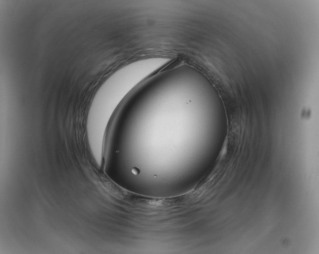 X0000097600130200803071437