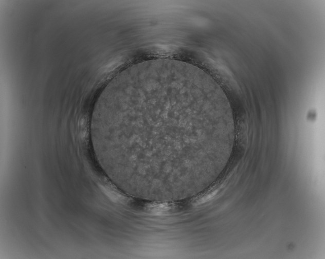 X0000097600131200803071437