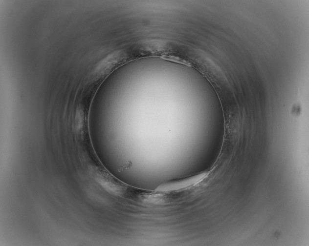 X0000097600132200803071437