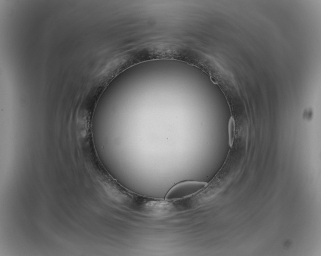 X0000097600133200803071437