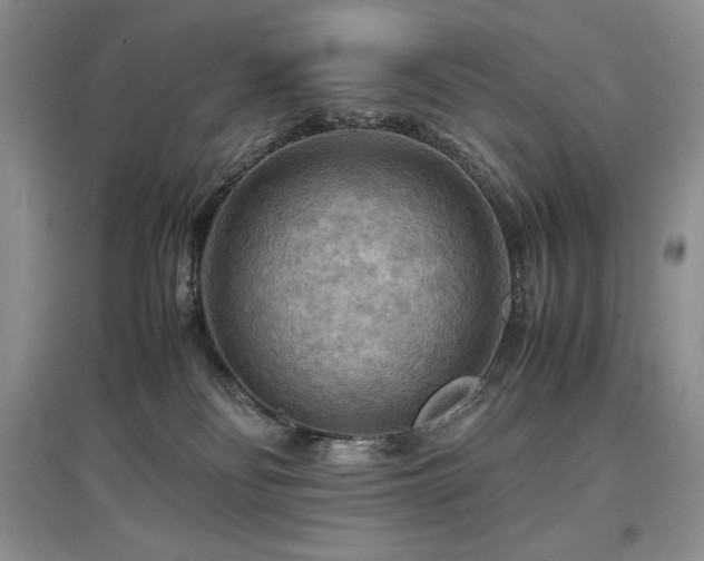X0000097600134200803071437