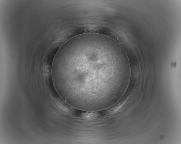 X0000097600135200803071437