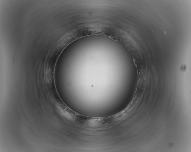 X0000097600136200803071437