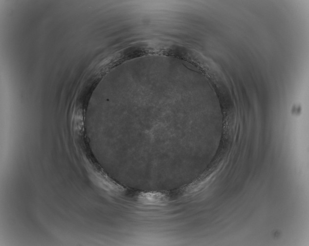 X0000097600137200803071437