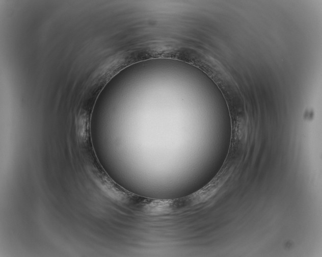 X0000097600138200803071437