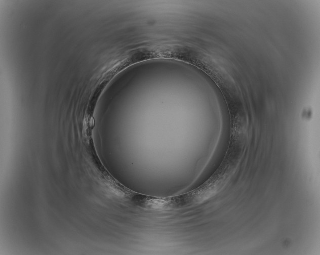 X0000097600139200803071437