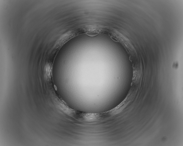 X0000097600142200803071437