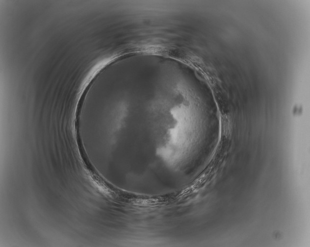 X0000097600147200803071436