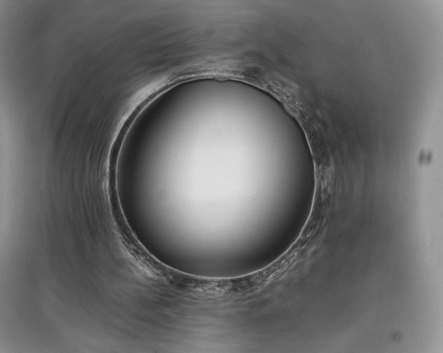 X0000097600148200803071436