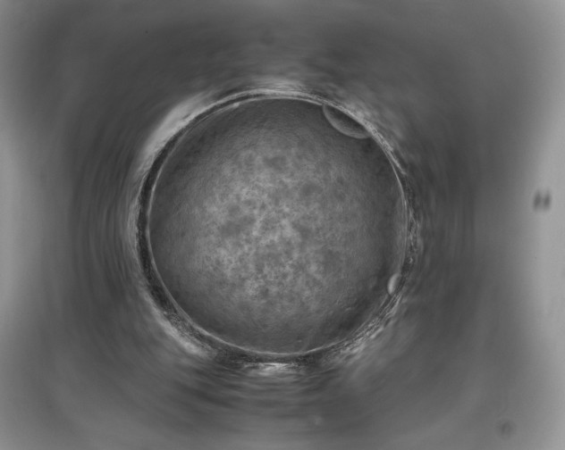 X0000097600151200803071436