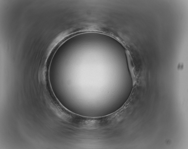 X0000097600152200803071436