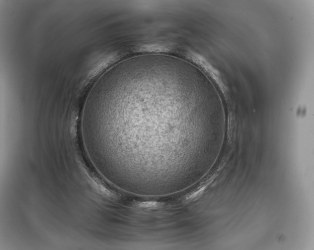 X0000097600153200803071436