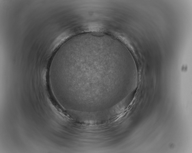 X0000097600154200803071436