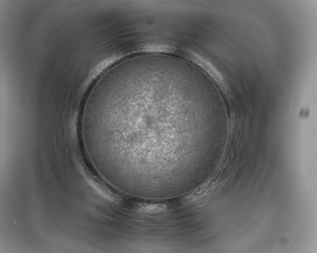 X0000097600155200803071436