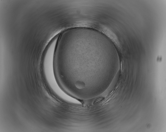 X0000097600156200803071436