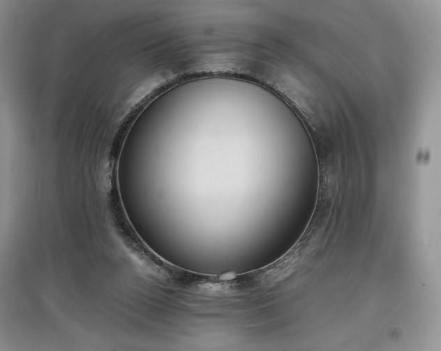 X0000097600160200803071436