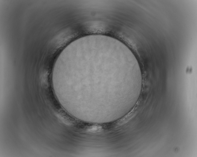X0000097600162200803071436
