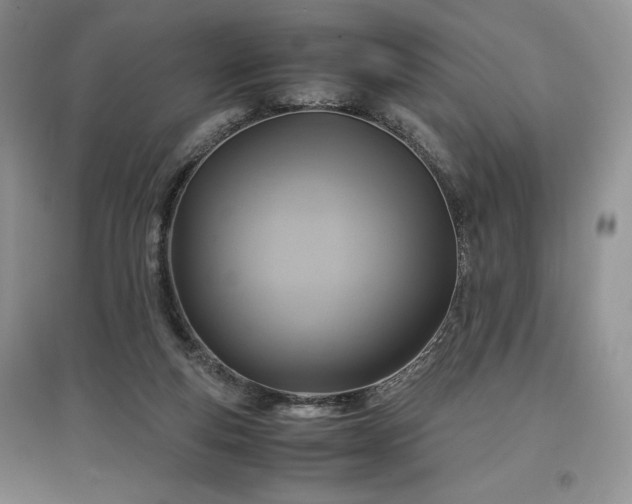 X0000097600163200803071436