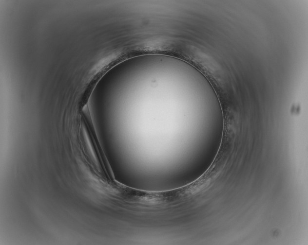 X0000097600164200803071436