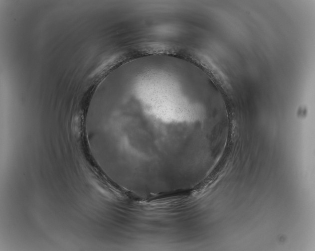 X0000097600165200803071436