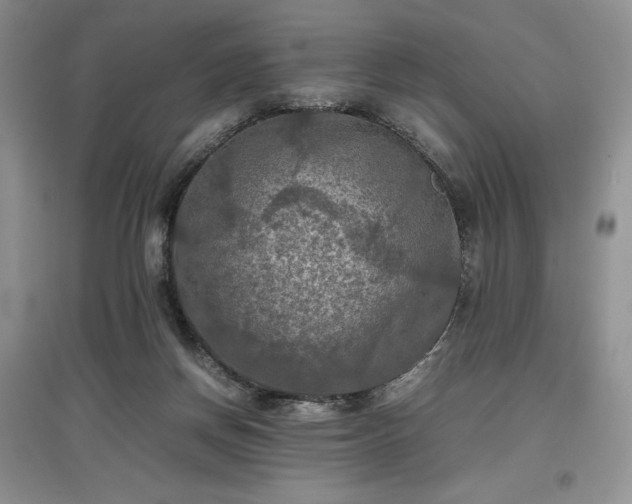 X0000097600166200803071436