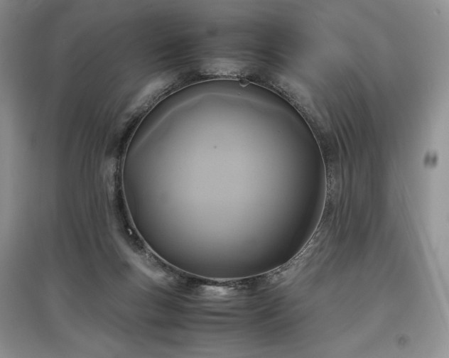 X0000097600167200803071436