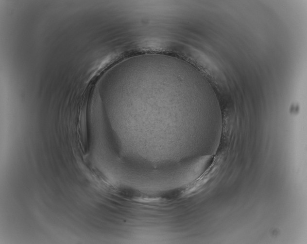 X0000097600168200803071436